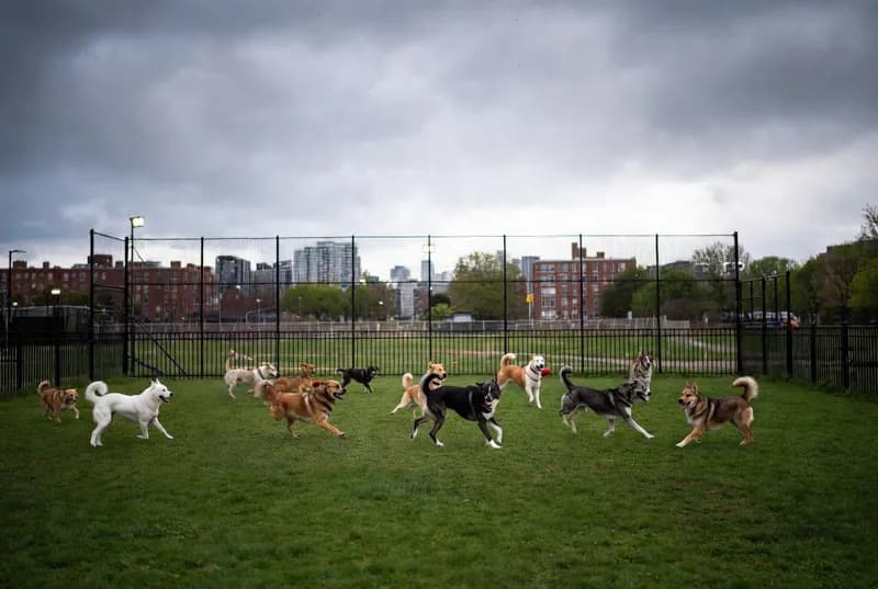 Sir Winston Churchill Park Off-Leash Area