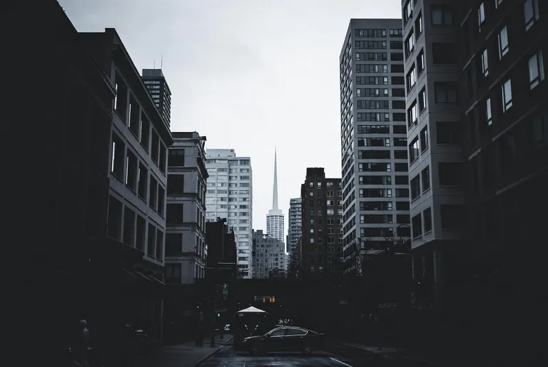 The Best Sushi in Toronto