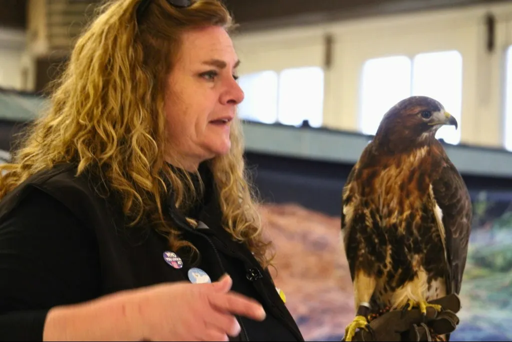 All in the Family with Mountsberg Raptor Centre in High Park event