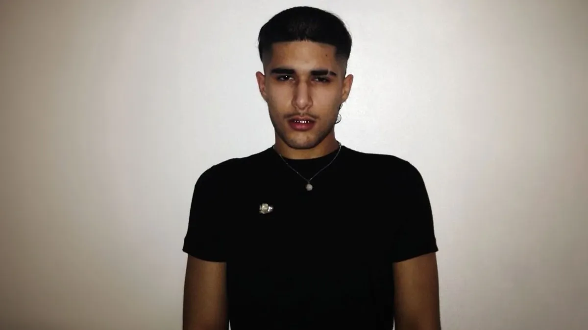 fakemink: a Terrible Beauty. - The Tour event