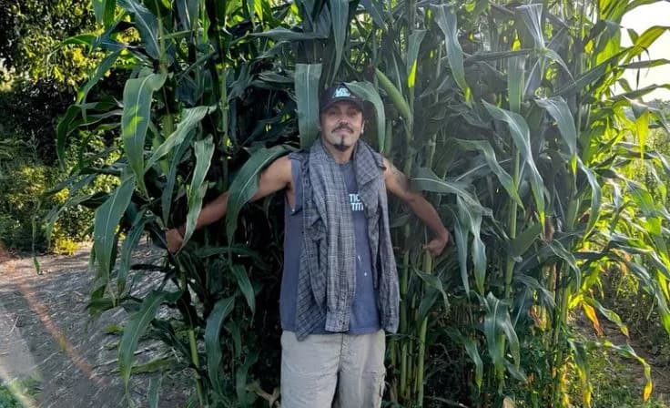 The Past and Future of Maiz by Iván Wadgymar event