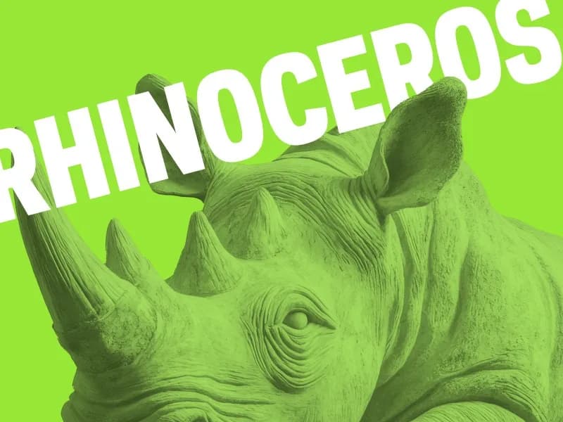 Rhinoceros event