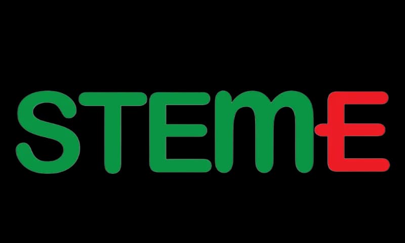 STEM-E school building