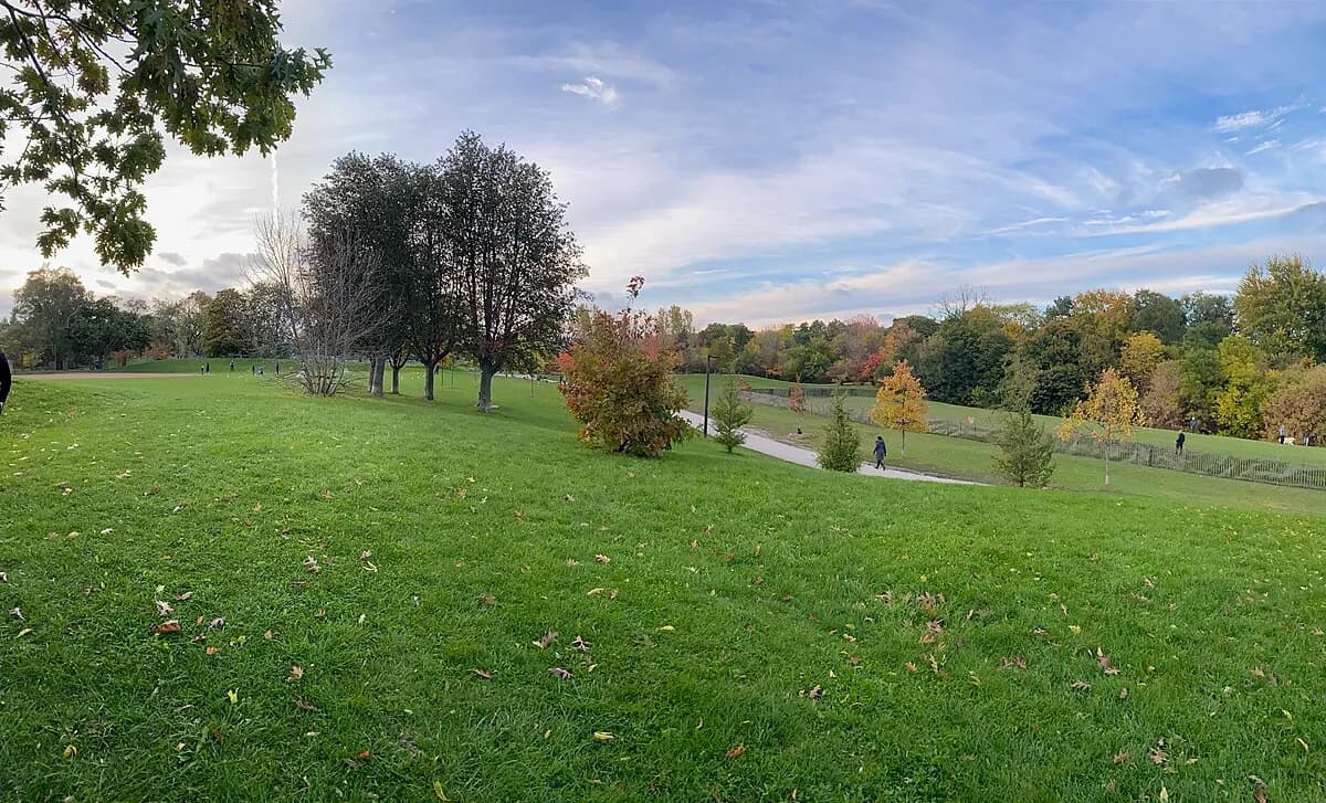 Cedarvale Ravine trail winding through midtown Toronto forest