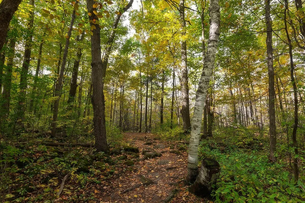 The Bruce Trail through rock crevices at Limehouse Conservation Area