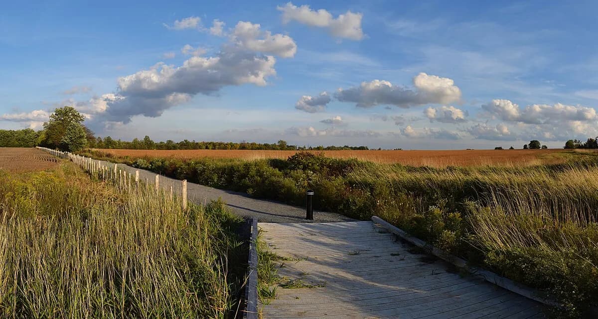 Panoramic view of trails through Rouge National Urban Park