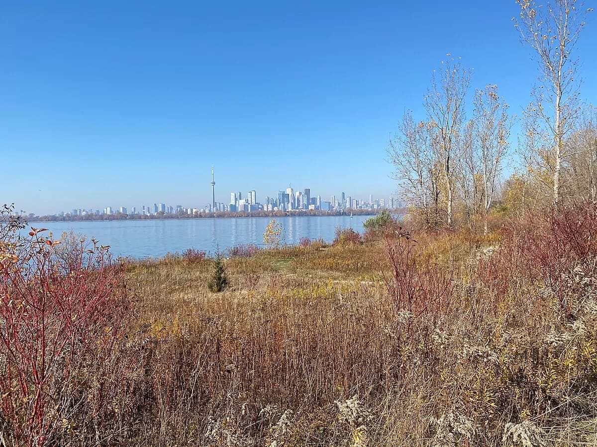 Downtown Toronto skyline from Tommy Thompson Park in autumn