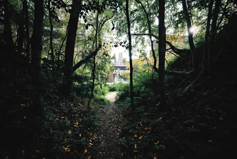 Don Valley — Crothers Woods & Evergreen Brick Works