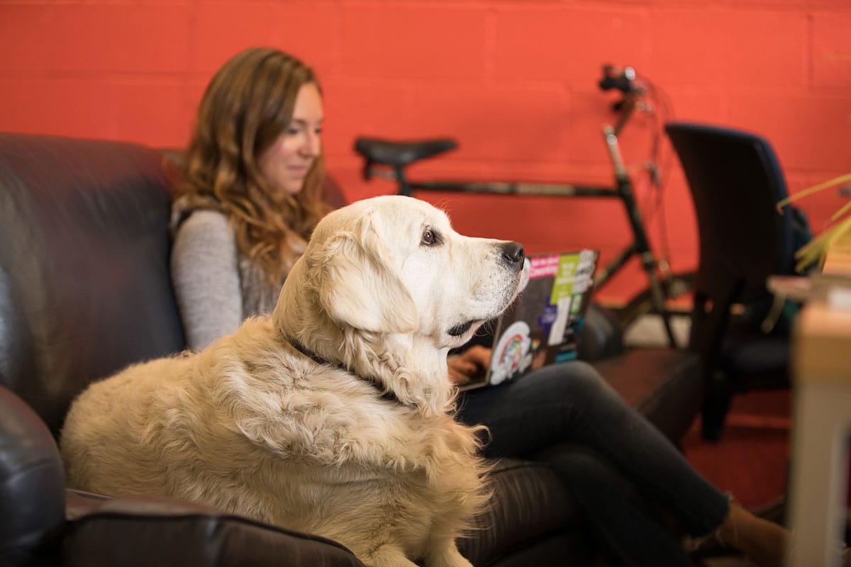 Shared coworking tables and lounge at Acme Works on Niagara Street