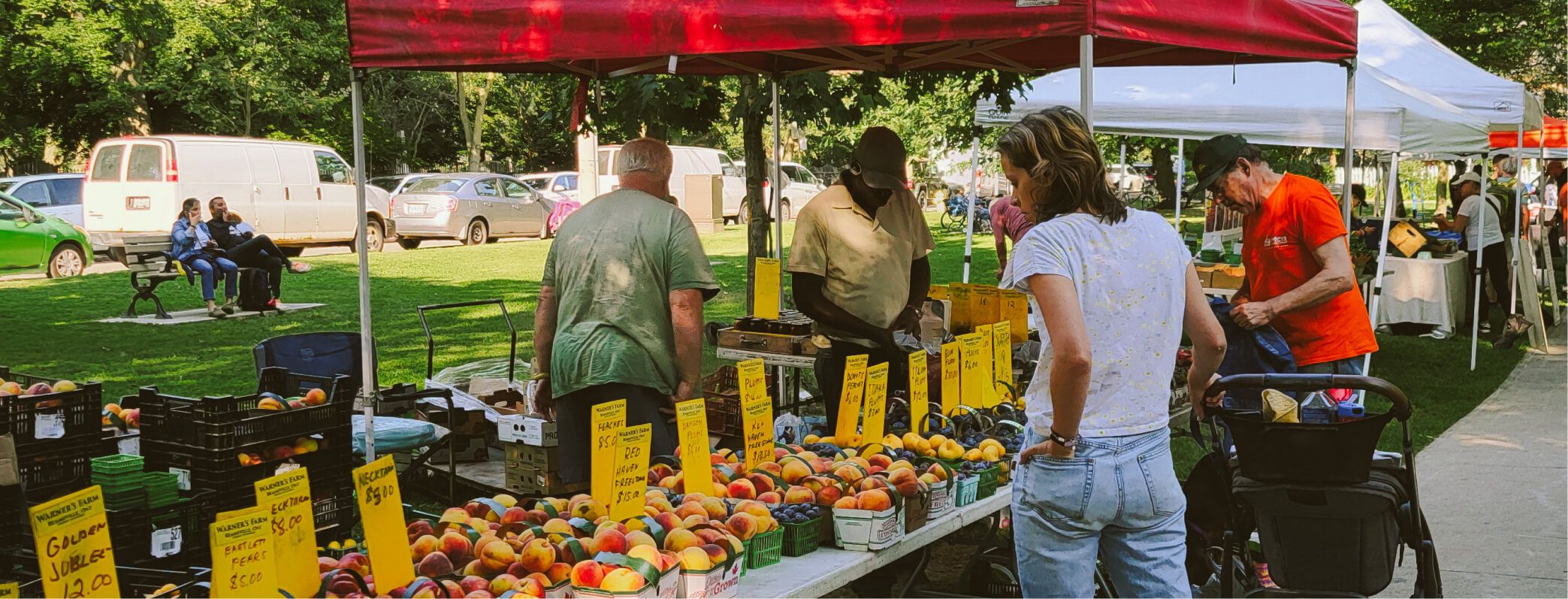 Cabbagetown Farmers’ Market official photograph from cabbagetownmarket.ca