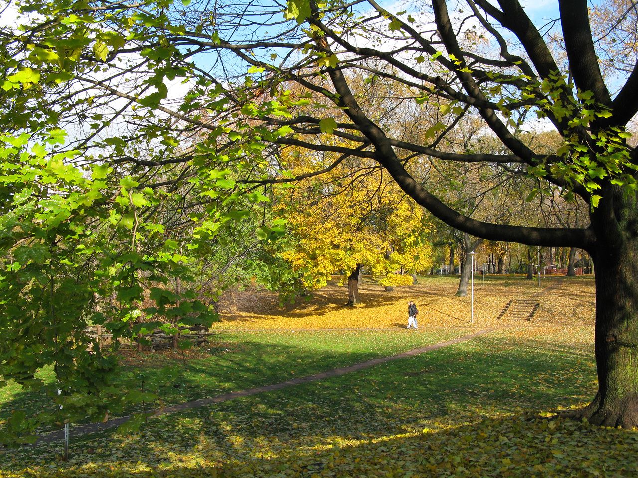 Dufferin Grove Park in west-end Toronto, home of the community rink