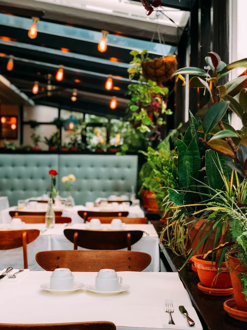 Italian trattoria with fresh pasta and warm neighbourhood ambience