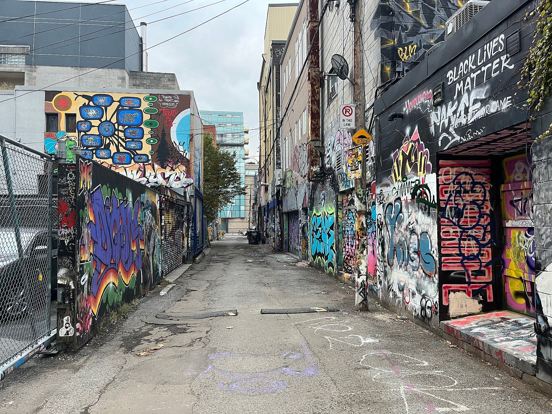 Murals along Graffiti Alley (Rush Lane), Toronto