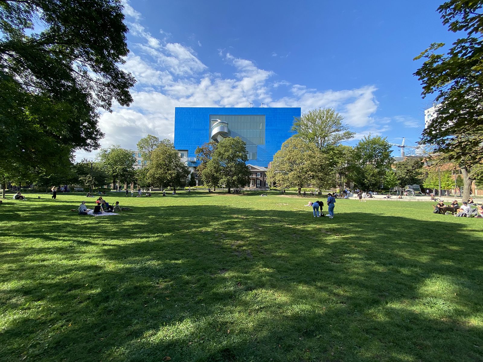 Lawn at Grange Park behind the Art Gallery of Ontario