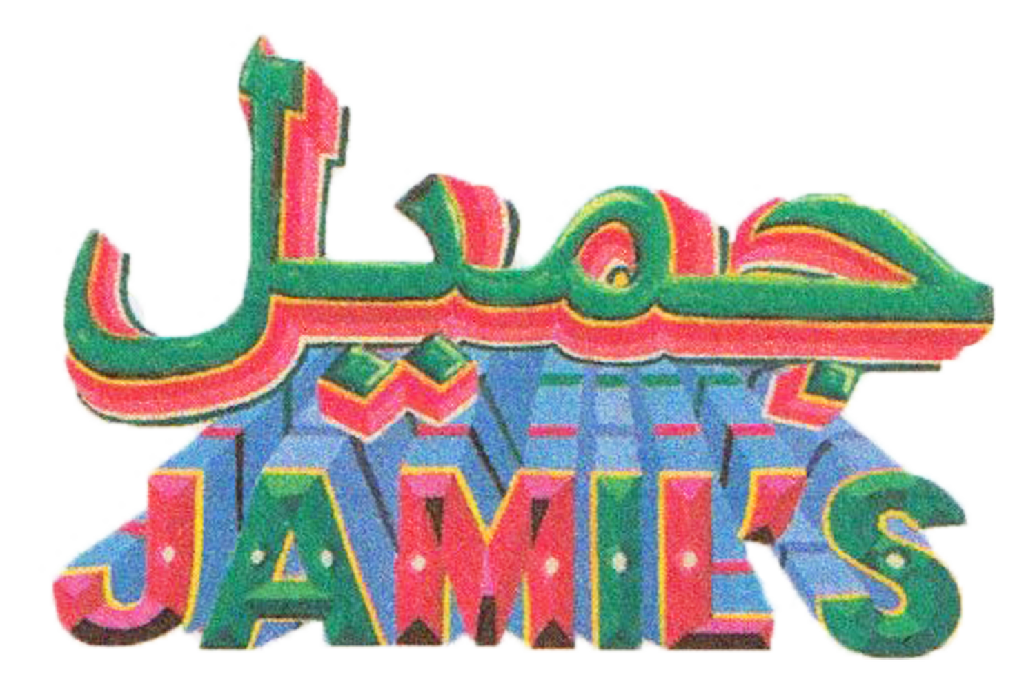 Jamil's Chaat House in Parkdale