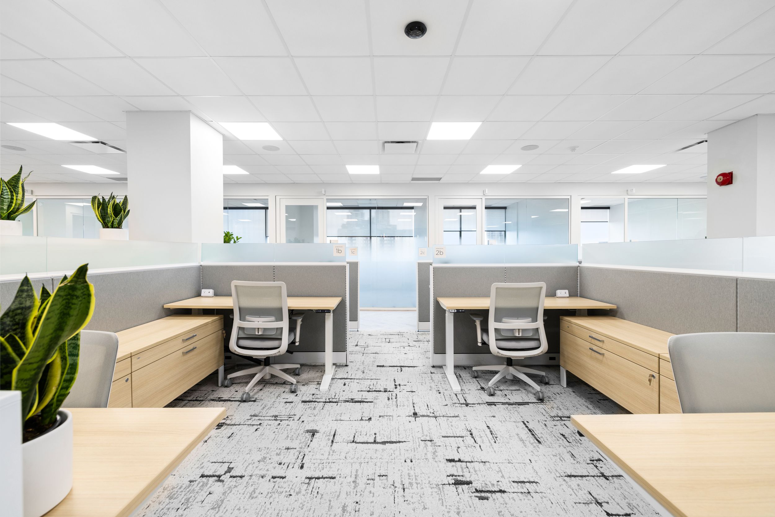 Coworking desks at Jilani Place in Etobicoke