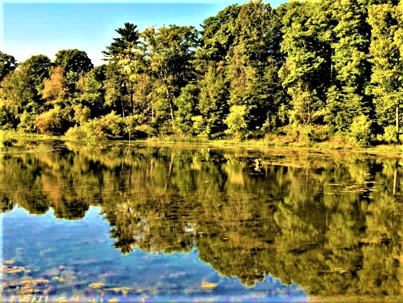Woodland grounds at the Kortright Centre for Conservation, Vaughan