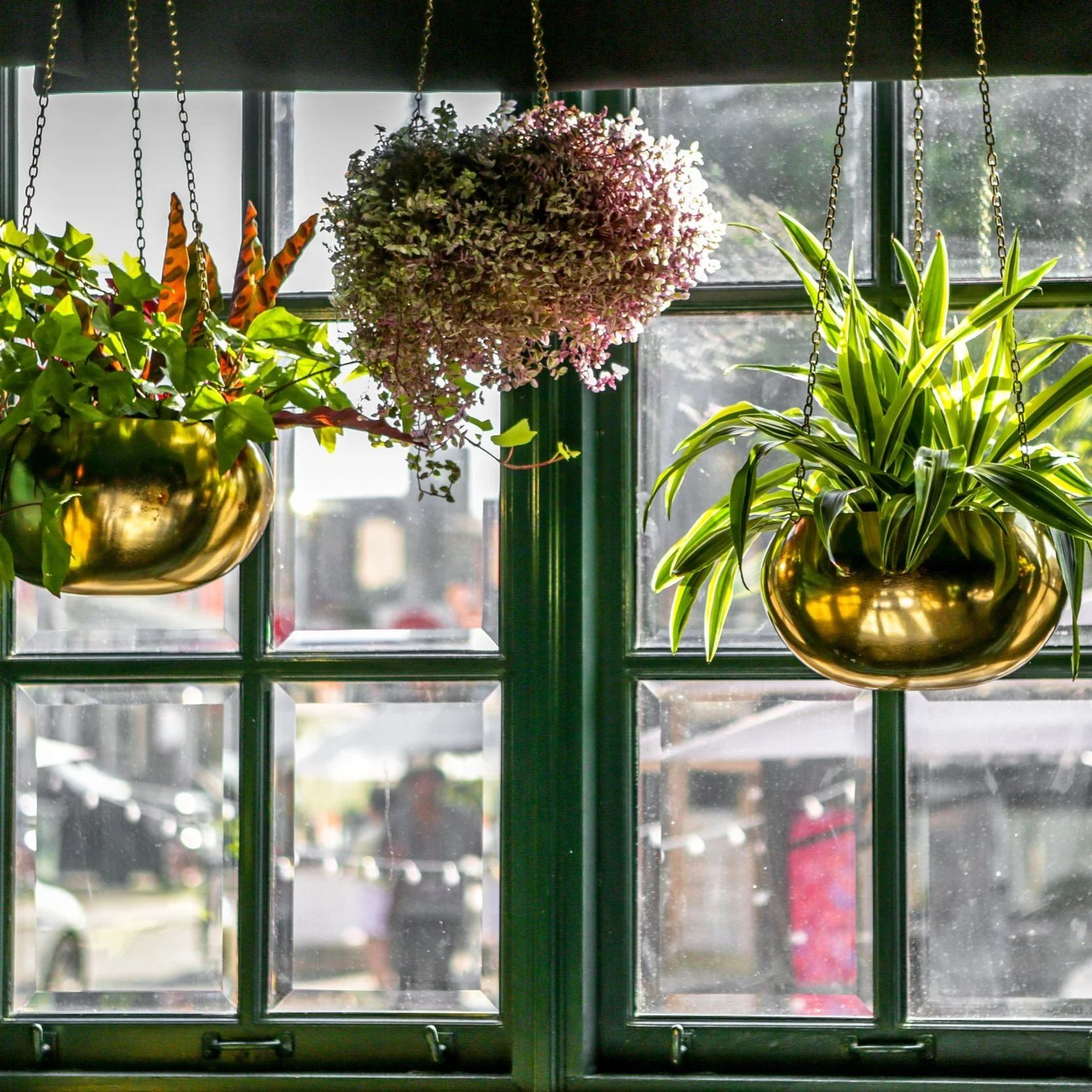 La Banane dining room photography from labanane.ca