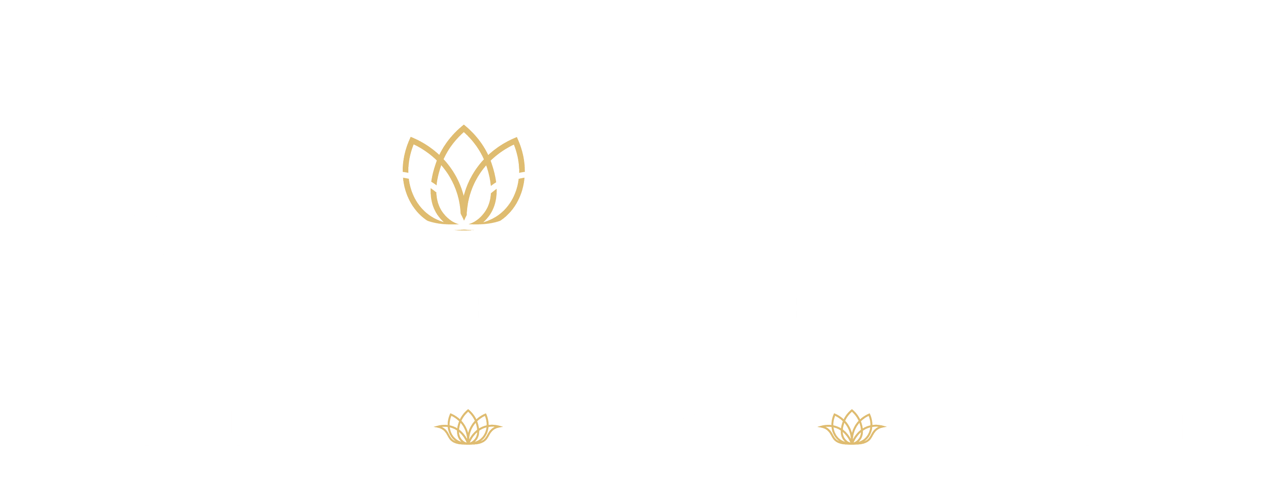 Pii Nong Thai in Queen West