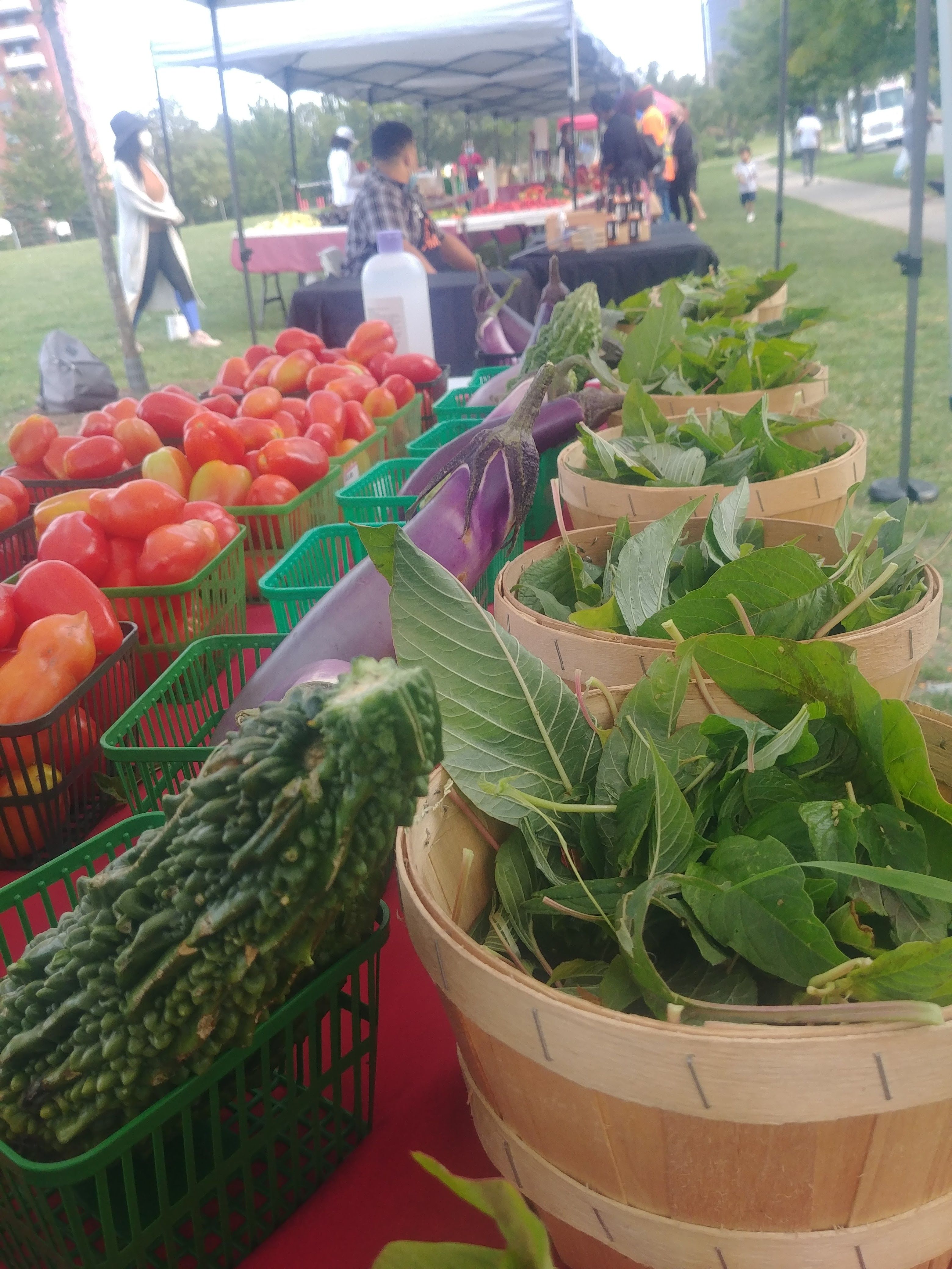 Scarborough Farmers’ Market official photograph from scarboroughfarmersmarket.ca