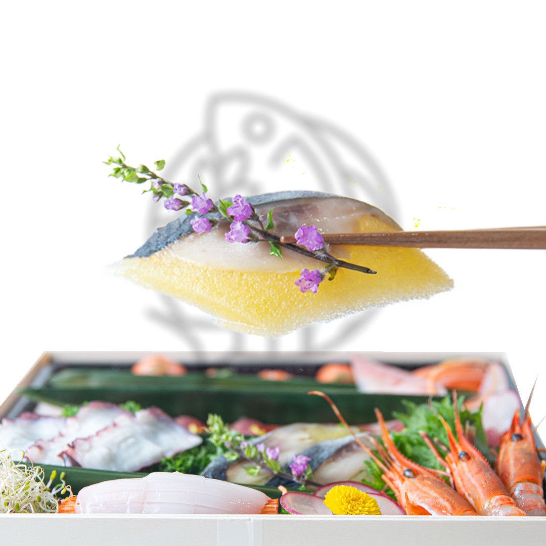 Shiroshi Japanese Cuisine in Queen & Lisgar