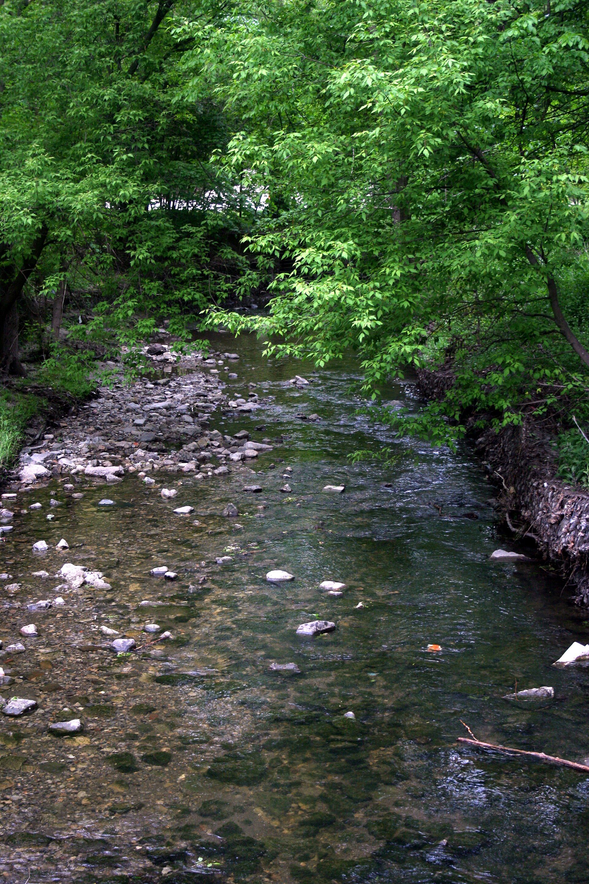 Taylor Creek flowing through Taylor Creek Park, Toronto