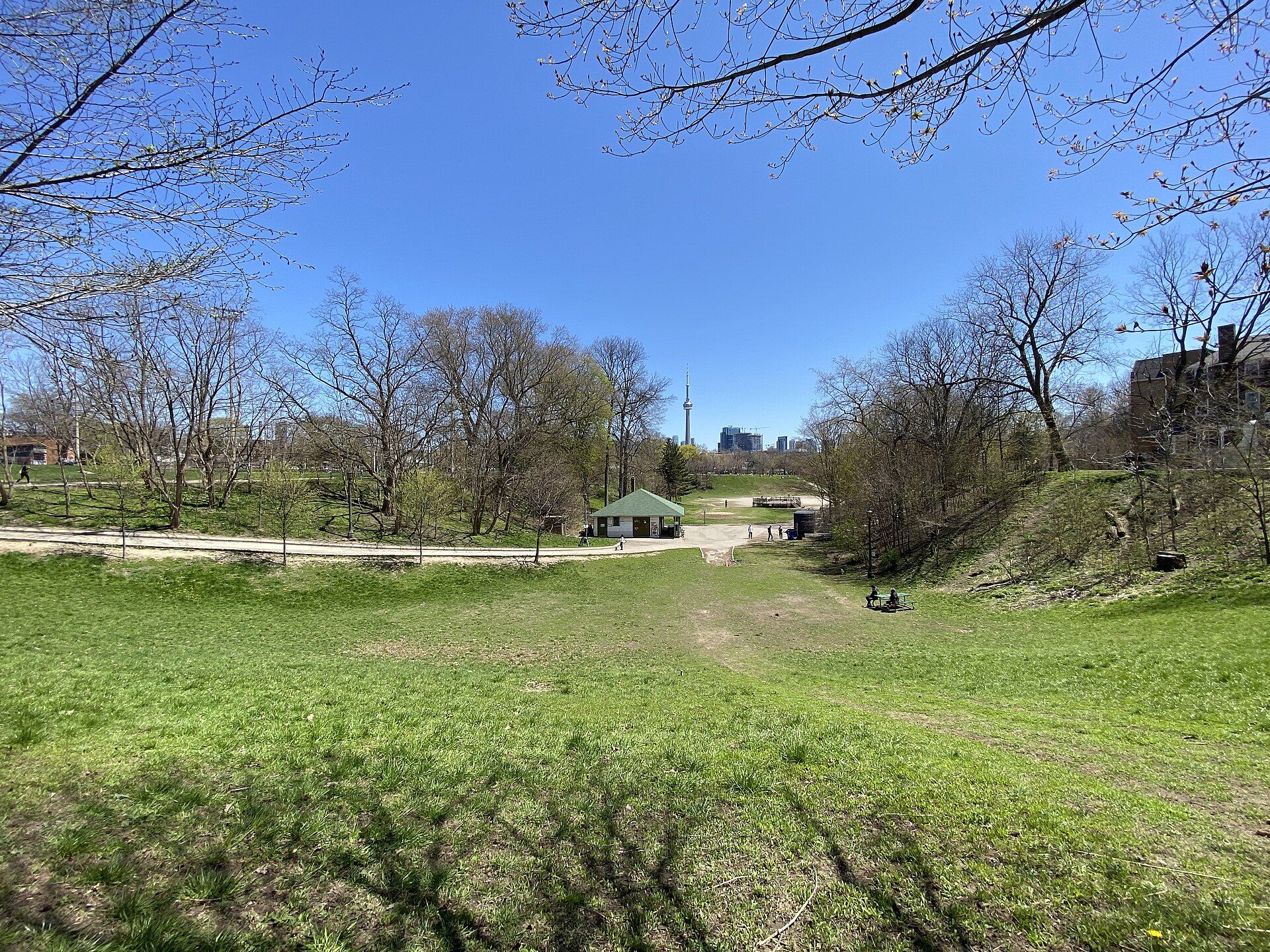 Trinity Bellwoods Park lawns and trees, Toronto