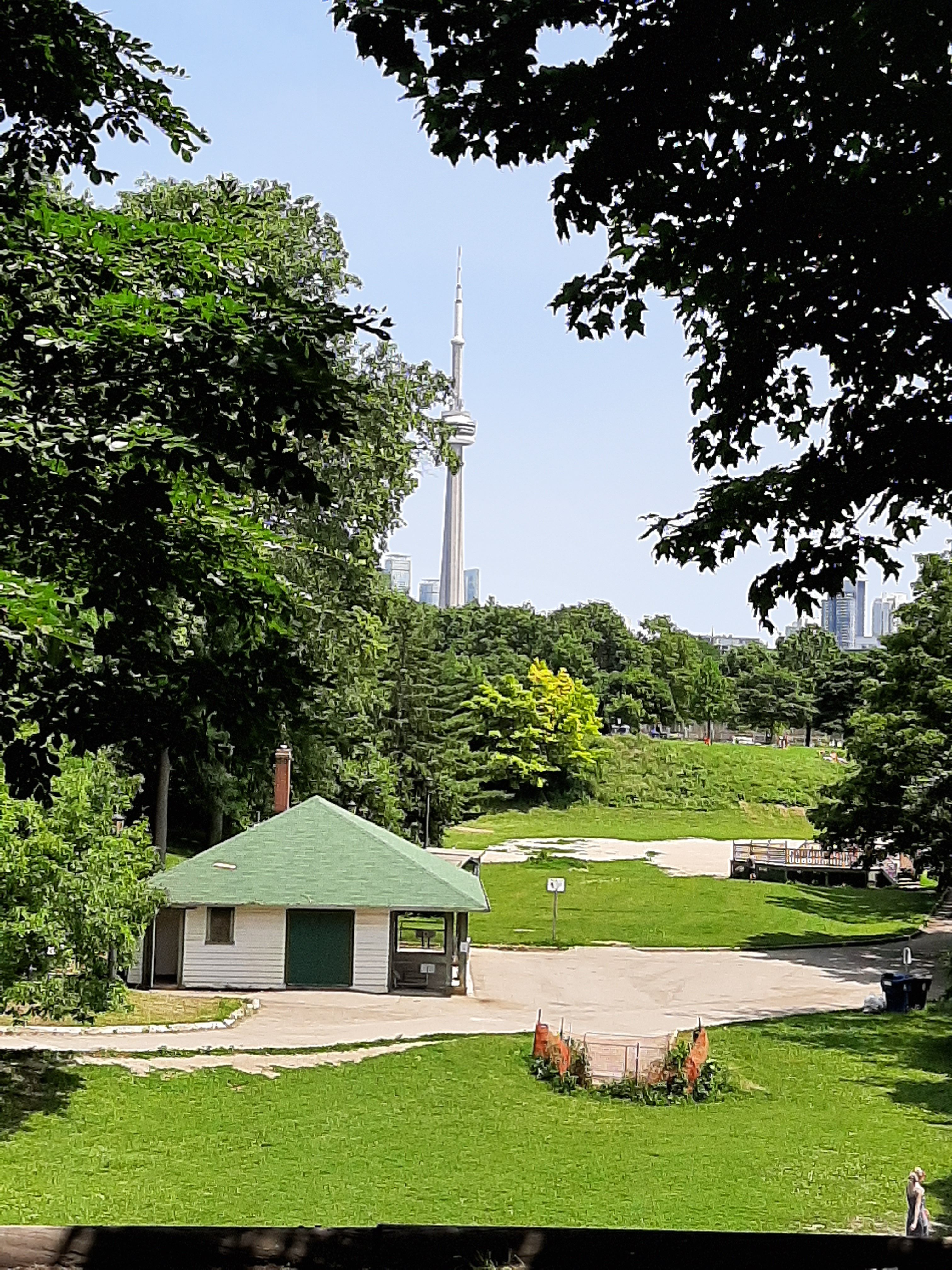 Trinity Bellwoods Park lawn with the CN Tower in the distance