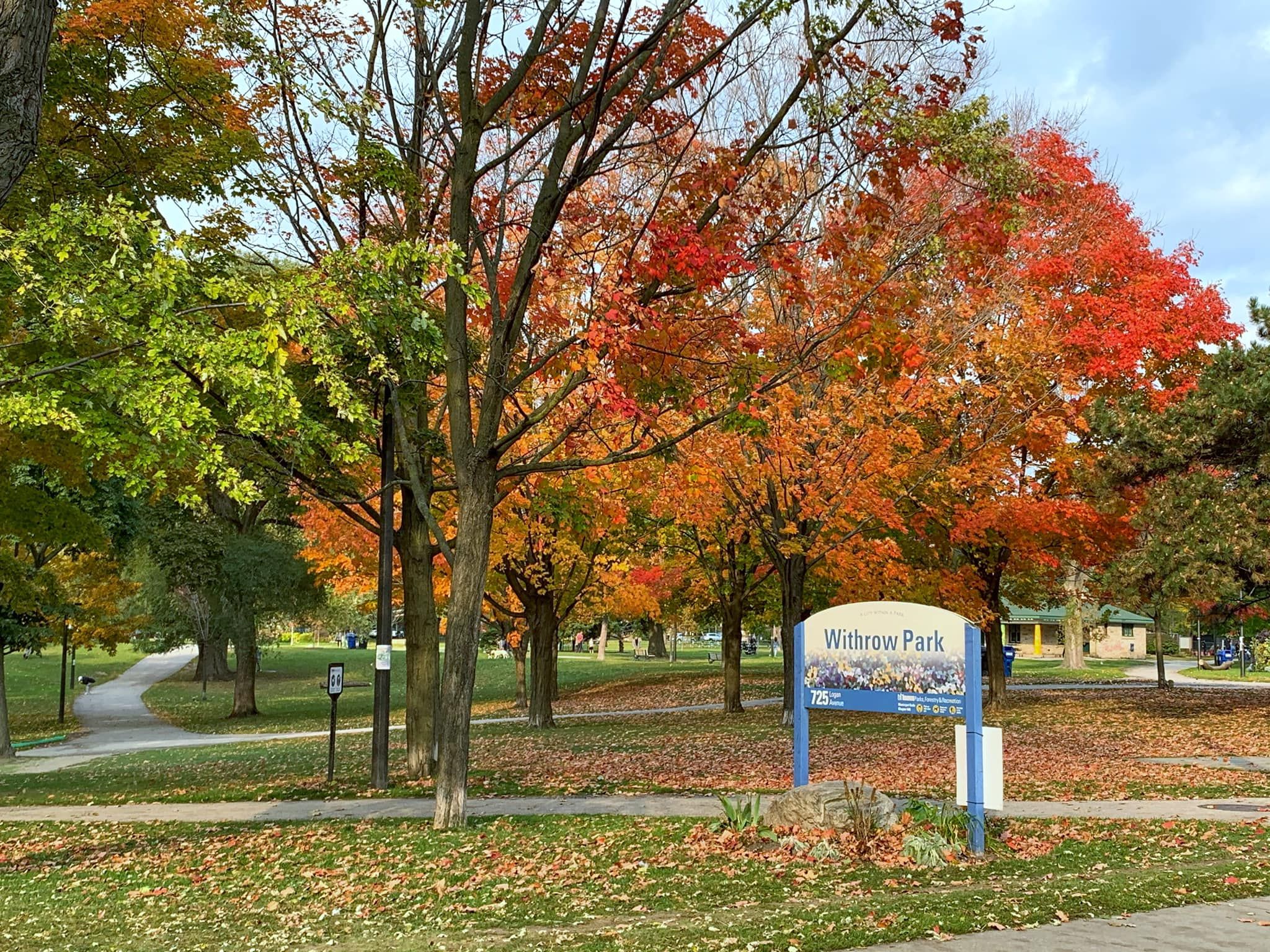 Withrow Park in Riverdale, Toronto