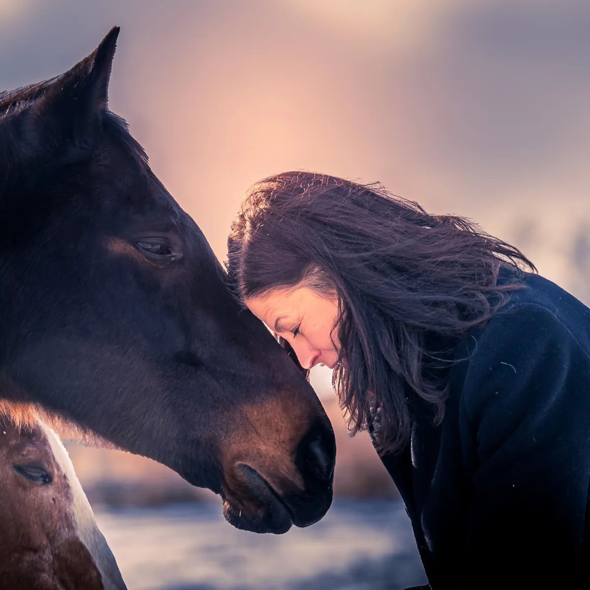 12 Litres 8800 Steps event