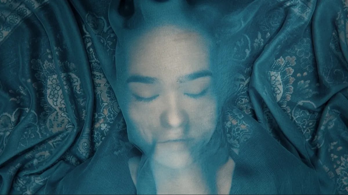 A Fox Under a Pink Moon event