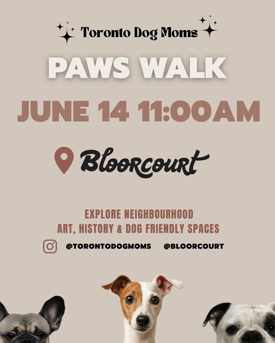 Toronto Dog Moms X Bloorcourt BIA: Paws Walk event