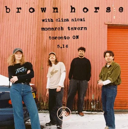 Brown Horse event