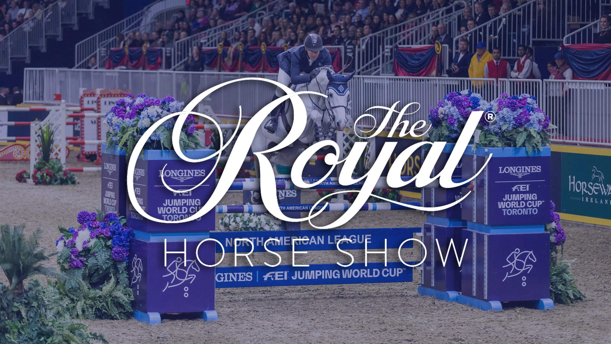 Championship Show Jumping event