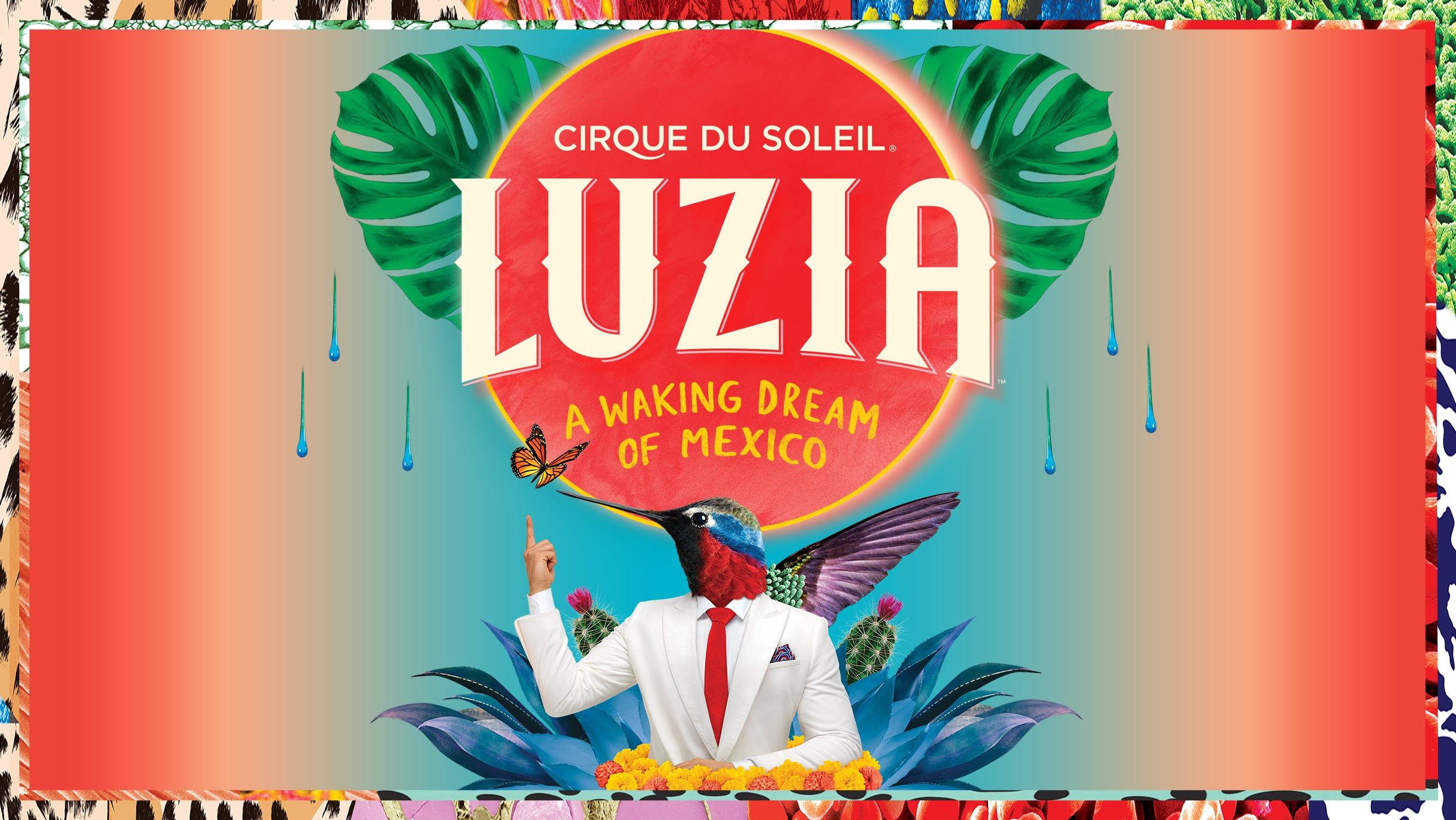 Cirque du Soleil: Luzia event