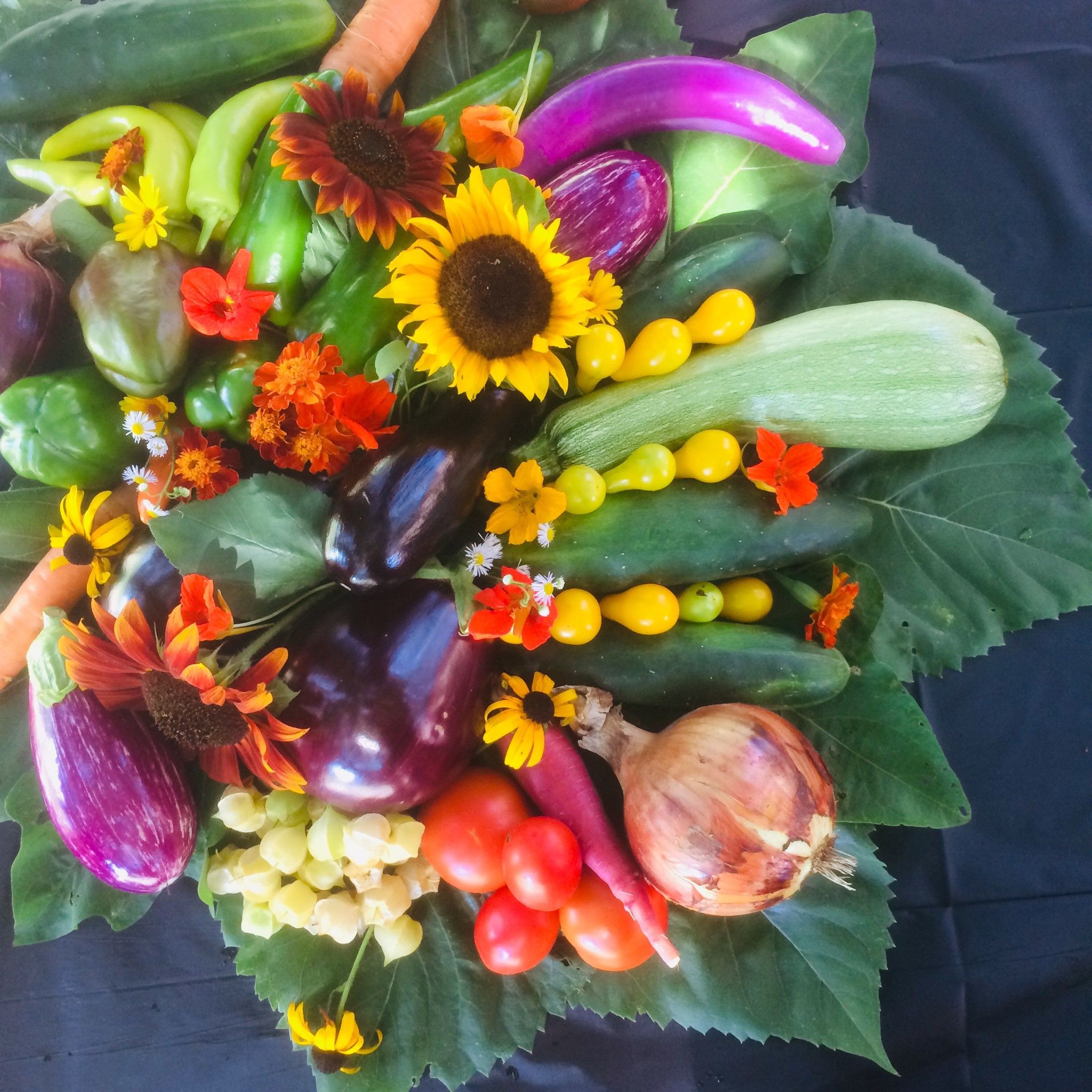 Common Table Farm Harvest Open House event