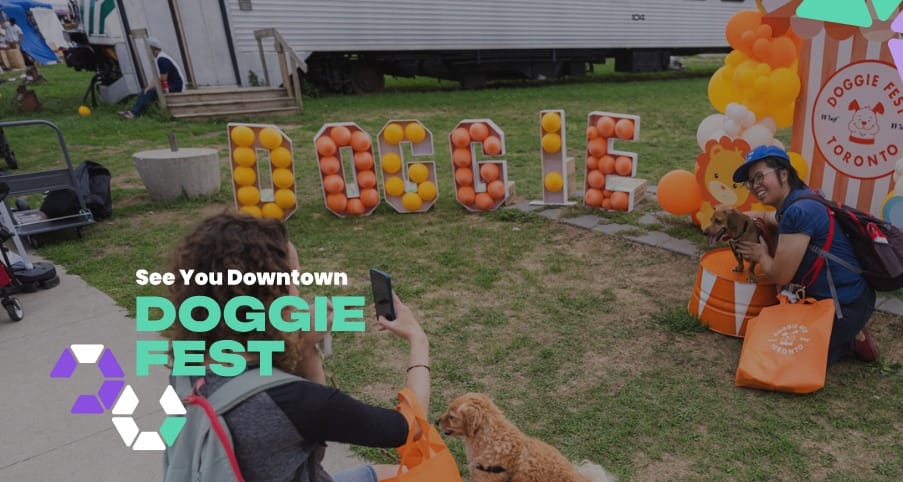 See You Downtown: DoggieFest 2026 Is Back event