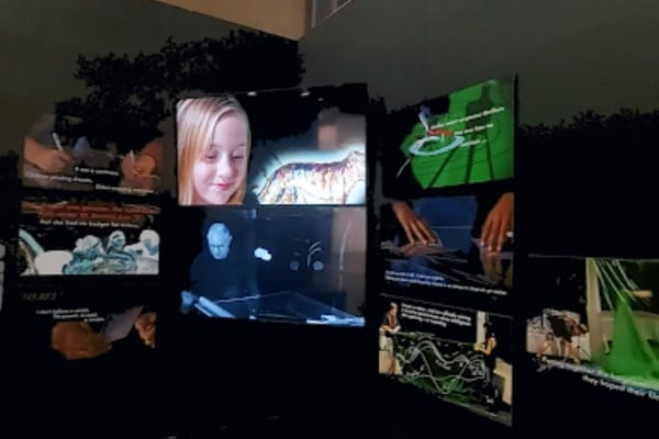 Gallery Talk: Lisa Steele on Vera Frenkel event