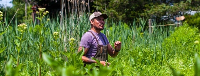 Indigenous Food Lab by Chef Taylor Parker event