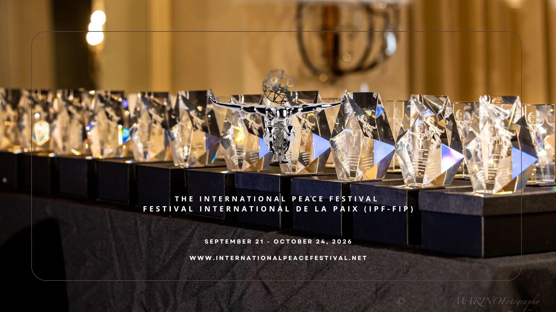INTERNATIONAL PEACE FESTIVAL event