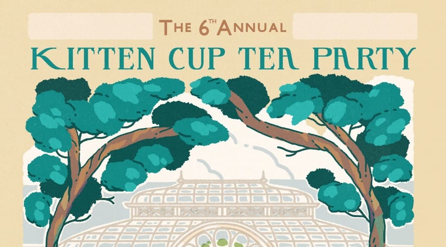Kitten Cup Studio Tea Party: Bring Your Own Demo! event