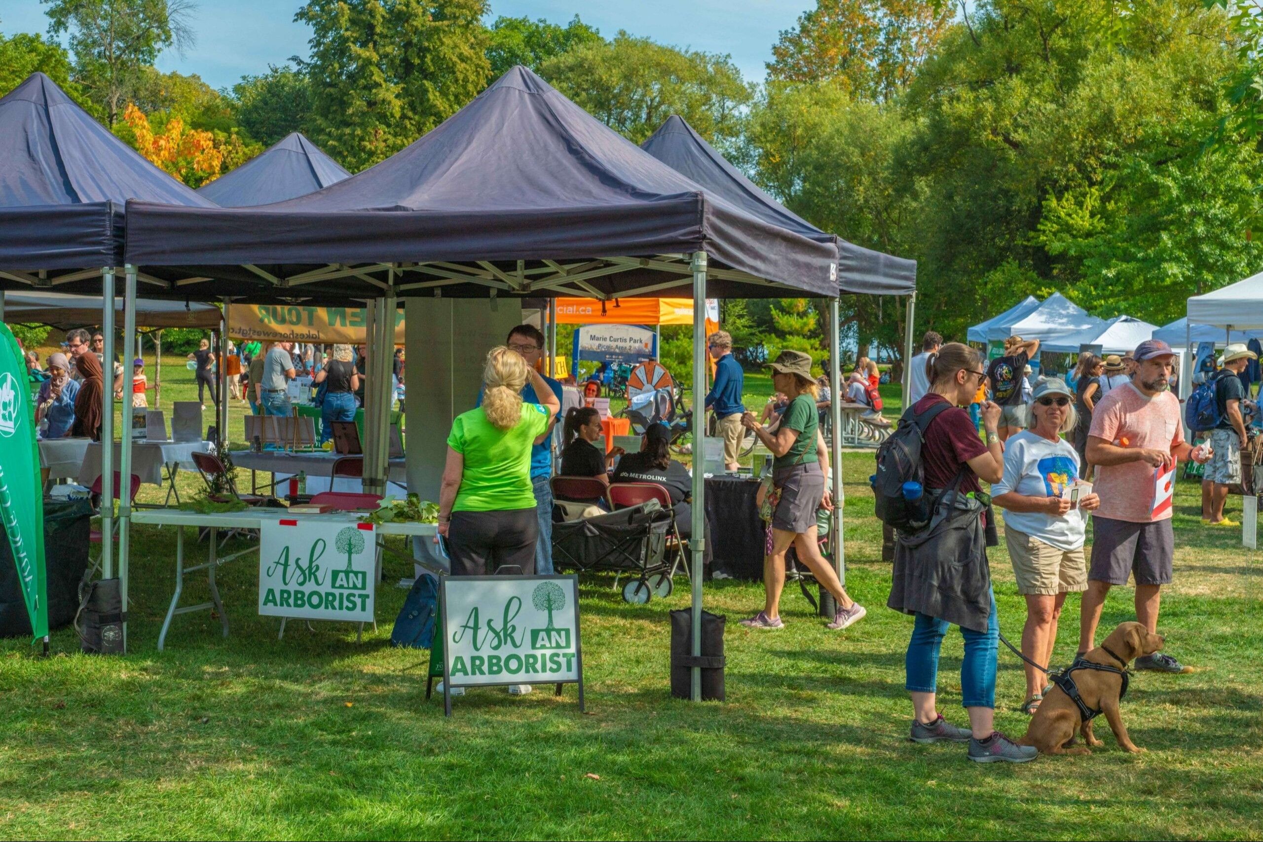 2026 Long Branch Tree Fest event