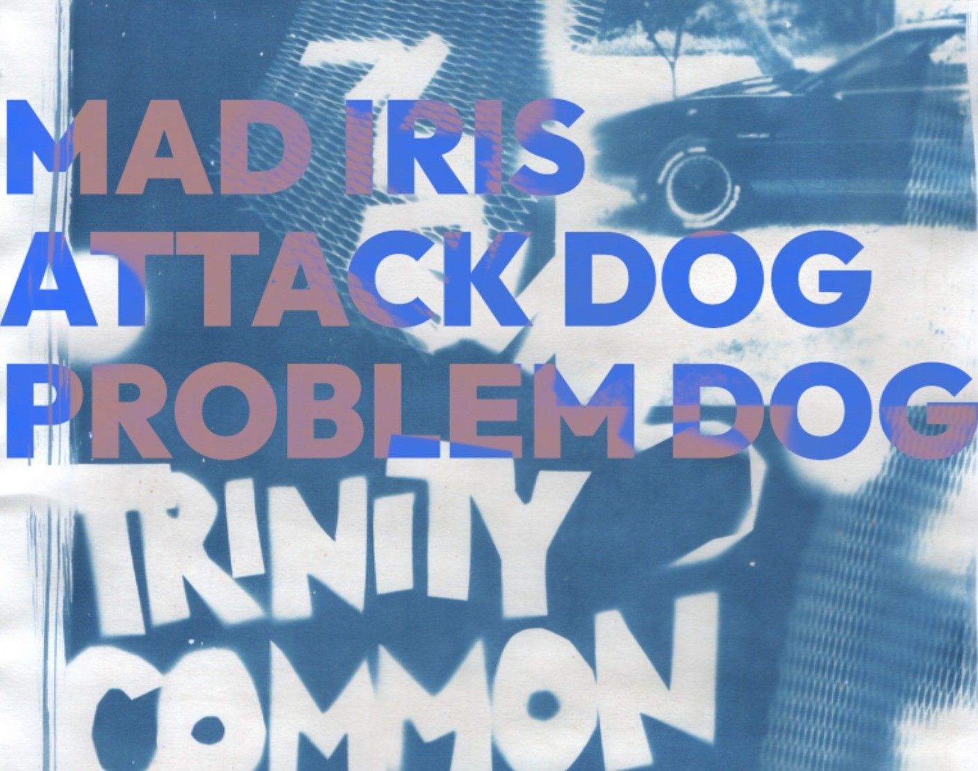 Mad Iris, Attack Dog, Problem Dog - Trinity Common event
