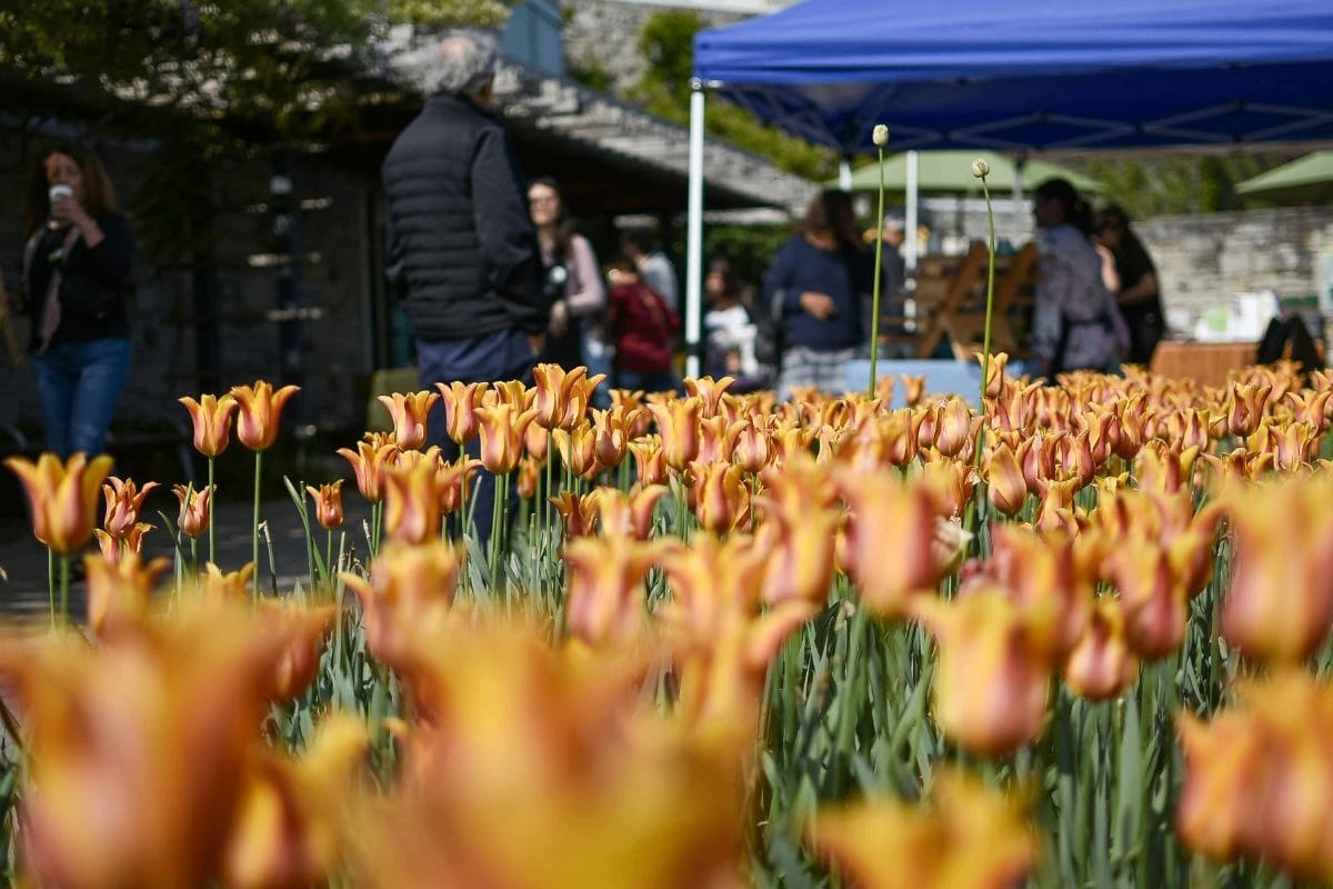 Mother’s Day at the Garden event