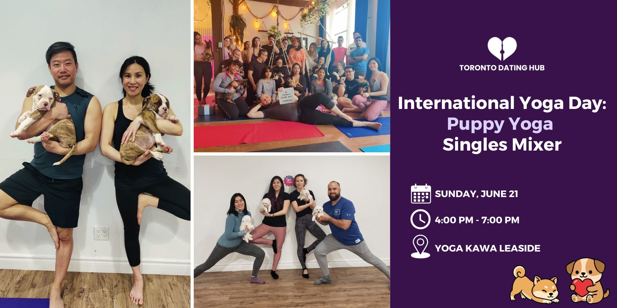 🐶 International Yoga Day Puppy Yoga Singles Mixer event