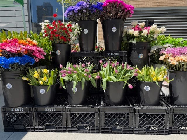 Queen West Flower Market event