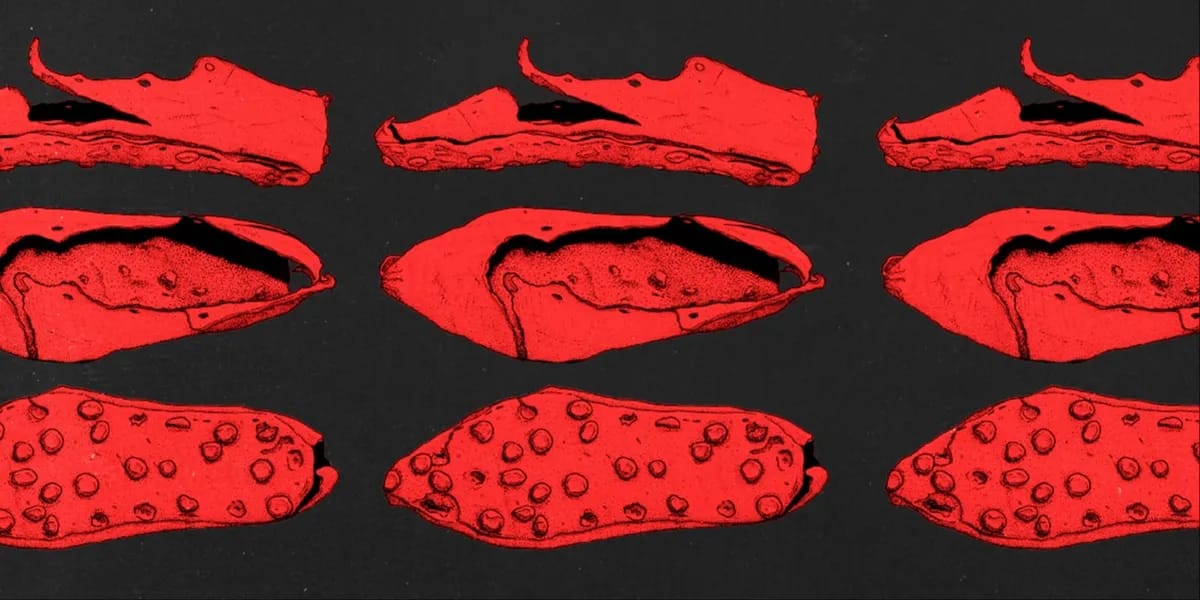 Spring Exhibition Opening event