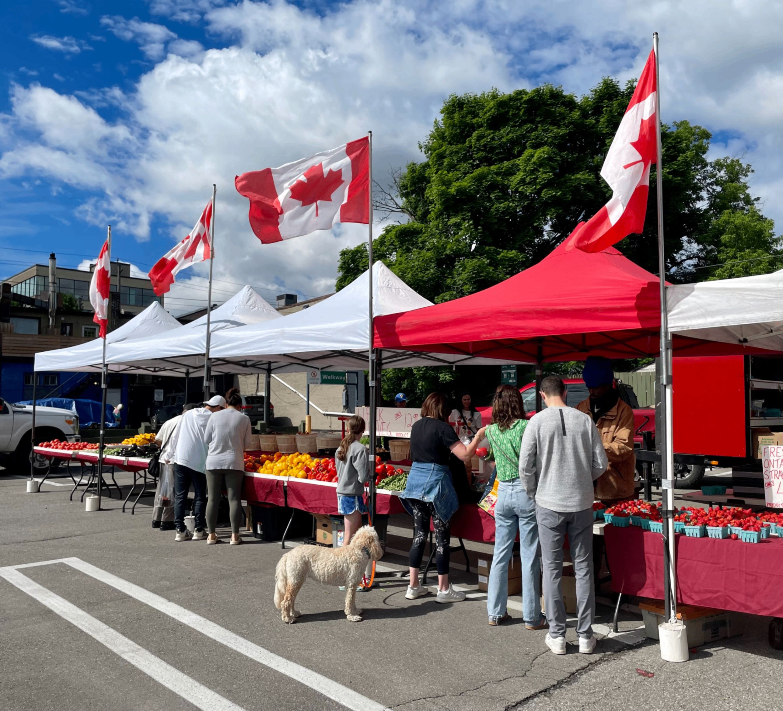 The Eglinton Way Farmer's Market event