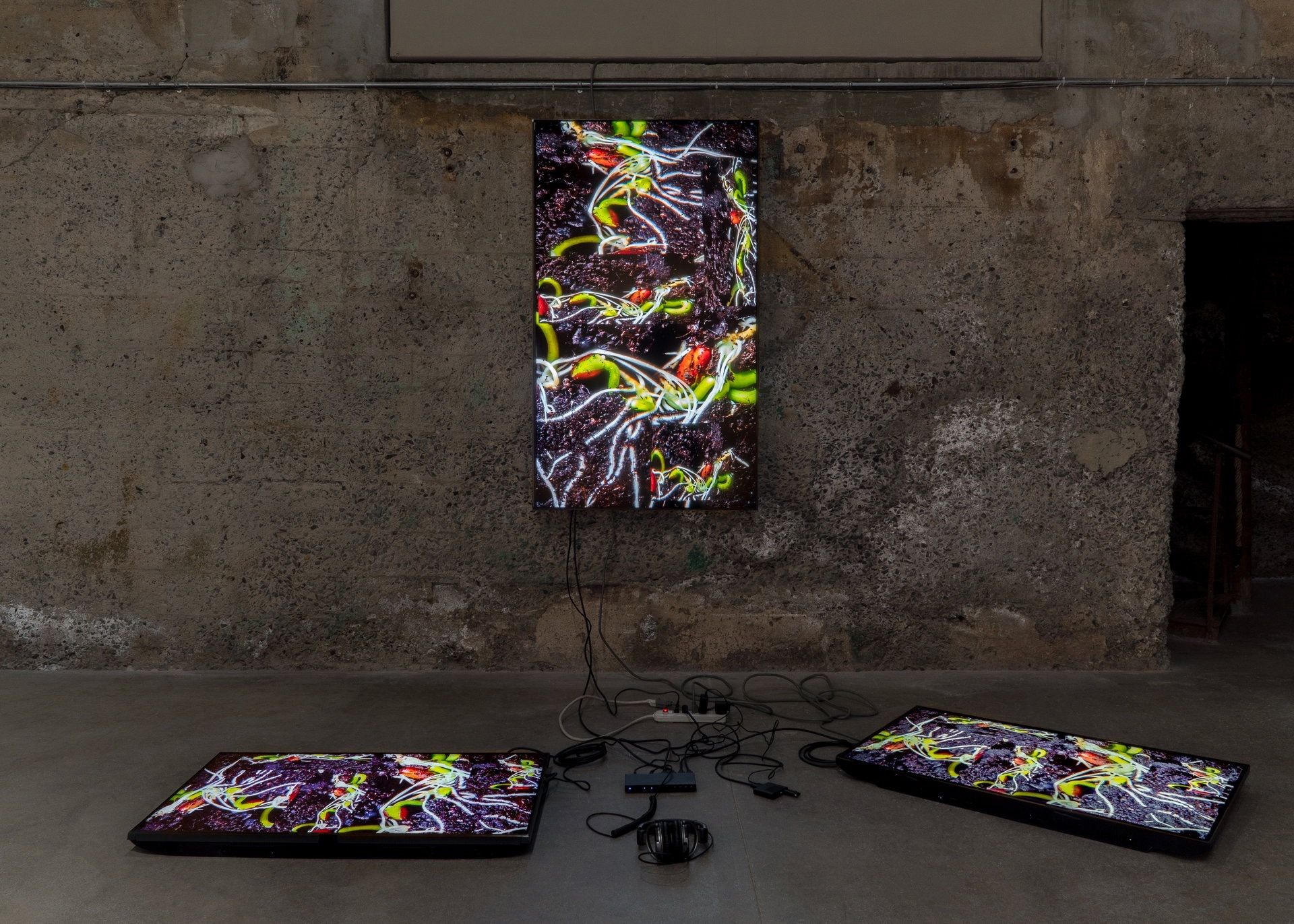 Timothy Yanick Hunter: Playing Pictures event