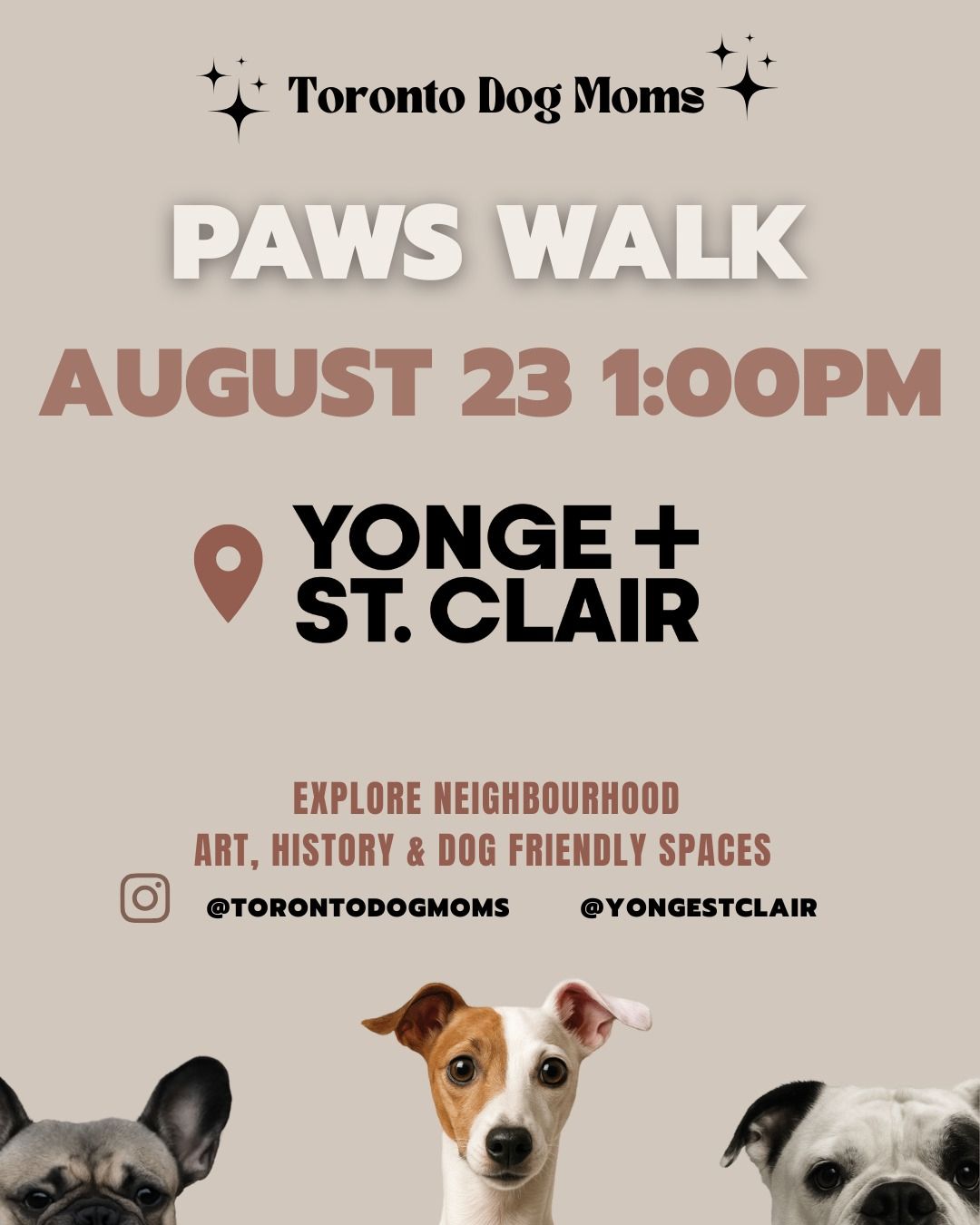 Toronto Dog Moms X Yonge + St. Clair BIA: Paws Walk event